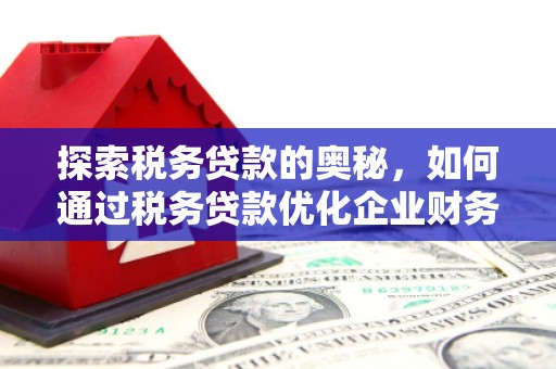 色达探索税务贷款的奥秘，如何通过税务贷款优化企业财务