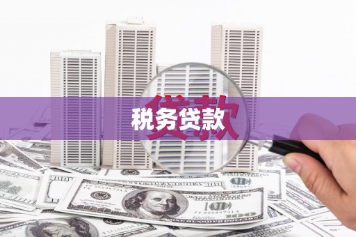 色达税务贷款