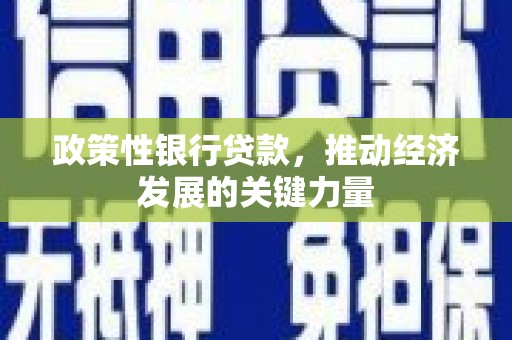 色达政策性银行贷款，推动经济发展的关键力量