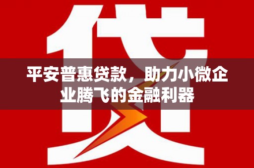 色达平安普惠贷款，助力小微企业腾飞的金融利器