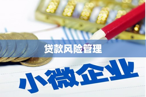 色达贷款风险管理