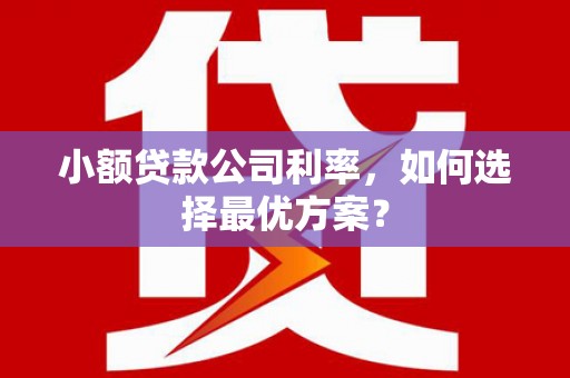 色达小额贷款公司利率，如何选择最优方案？
