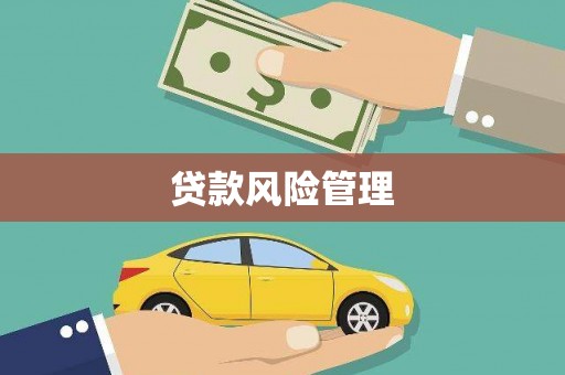 色达贷款风险管理