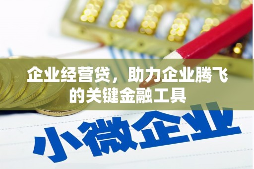 色达企业经营贷，助力企业腾飞的关键金融工具