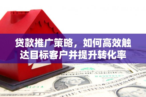 色达贷款推广策略，如何高效触达目标客户并提升转化率