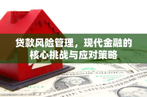 色达贷款风险管理，现代金融的核心挑战与应对策略