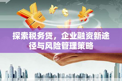 色达探索税务贷，企业融资新途径与风险管理策略
