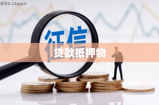色达贷款抵押物