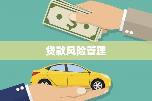 色达贷款风险管理