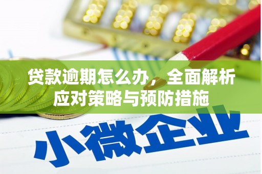 色达贷款逾期怎么办，全面解析应对策略与预防措施