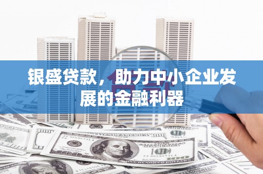 色达银盛贷款，助力中小企业发展的金融利器