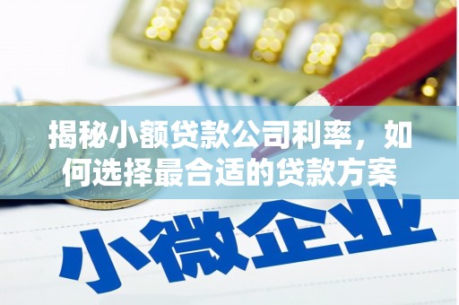 色达揭秘小额贷款公司利率，如何选择最合适的贷款方案