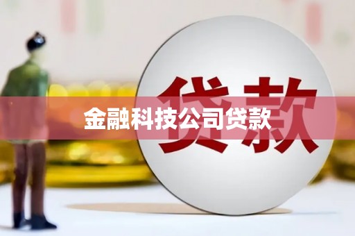 色达金融科技公司贷款