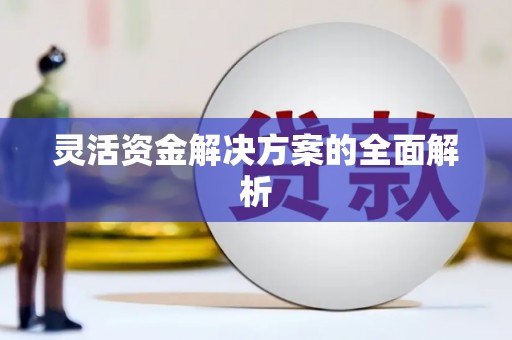 色达灵活资金解决方案的全面解析