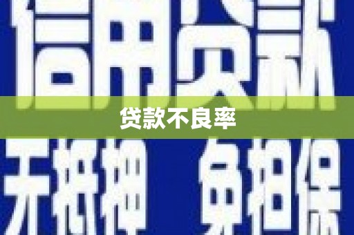 色达贷款不良率